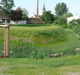 Eine grüne Wiese mit mehreren Pflanzen und Büschen. Im Hintergrund sind Gebäude und ein Kirchturm sichtbar.