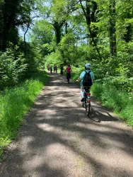 Geführte Radtour Mühlen - Radgruppe im  Wald