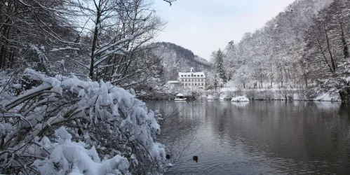Schwanenweiher im Schnee (2)