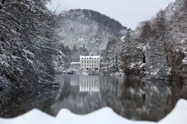 Schwanenweiher im Schnee (3)