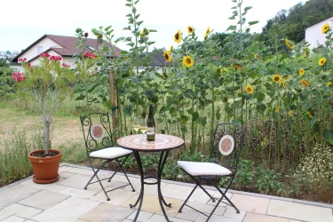 Terrasse (© Ferienwohnung am Rebmeer)