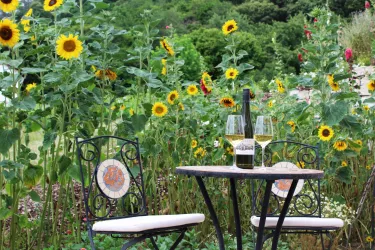 Terrasse Bild.1 (© Ferienwohnung am Rebmeer)