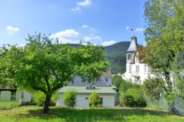 Garten2