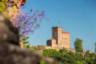 Trifels (© Archiv Verein SÜW Annweiler; Dominik Ketz)