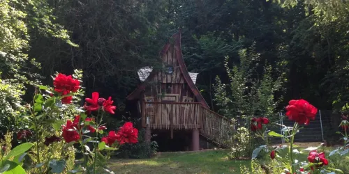 rosenumrankt