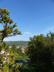 Blick aus dem Garten 3 (© Klaus Tscheres)
