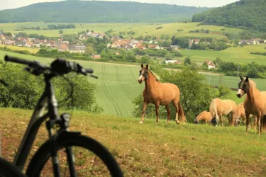 klostermuehle_83_lowres