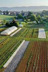 michaelmeyer-foto.com_Garten_06_low