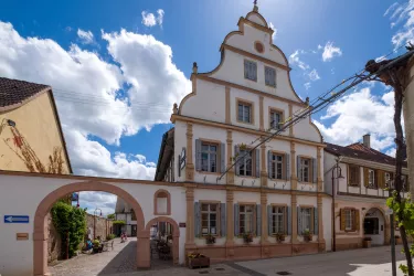 Marktstraße-Vinothek (© Bernhard Wingerter)