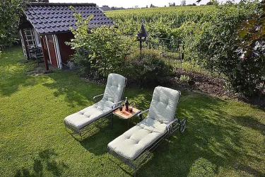 Garten mit Liegestühlen direkt am Rebenmeer