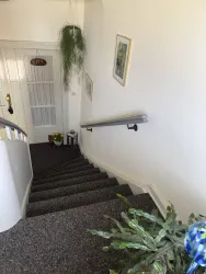 Eine Treppe mit Teppichboden führt nach unten. An der Wand hängen Bilder, und eine Pflanze ist im Vordergrund sichtbar.