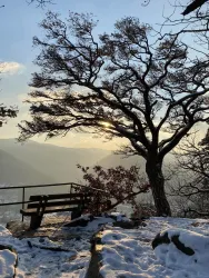 Bergstein Winter