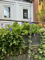 Bitte eintreten.... die Villa Botanica erwartet Sie.....