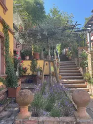 Vorm Haus - eine kleine Idylle vermittelt toskanischen Flair und Pfälzer Lebensfreude!