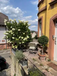 Und Abends schmeckt das Glas Wein bei den letzten Sonnenstrahlen des Tages auf der Feierabendterrasse s besonders gut.....