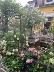 Hier fühlen sich alle Pflanzen wohl - und alle Menschen ....