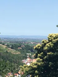 Blick über die Rheinebene