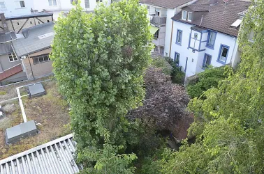Blick ins Grüne