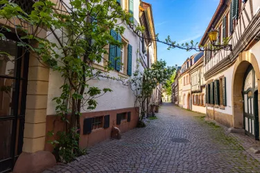 Mittelgasse Neustadt