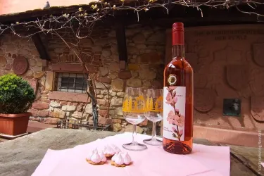 Ein Flasche Roséwein steht auf einem Tisch mit zwei Gläsern. Daneben liegen kleine süße Kekse auf einer rosa Serviette vor einer steinernen Wand.