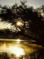 Sonnenaufgangsfahrt_4