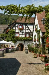 Eine malerische Gasse mit traditionellen Fachwerkhäusern und blühenden Pflanzen. Der Weg ist mit Kopfsteinpflaster und Pflanzen dekoriert, ideal für einen gemütlichen Spaziergang.