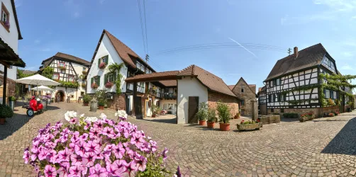 Ein malerischer Innenhof mit traditionellen Fachwerkhäusern und bunten Blumen. Der Himmel ist klar und blau, was eine einladende Atmosphäre schafft.