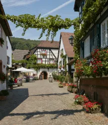 Eine malerische Straße in einem traditionellen Dorf mit Fachwerkhäusern. Über der Straße hängen Weinranken und bunte Blumen schmücken die Fenster.