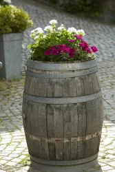 Ein Holztrog mit bunten Blüten steht auf einem gepflasterten Weg. Die Blumen sind in verschiedenen Farben, überwiegend Pink und Weiß.