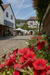 Eine charmante Dorfstraße mit hübschen Gebäuden und blühenden Blumen. Die Umgebung ist sonnig und einladend.