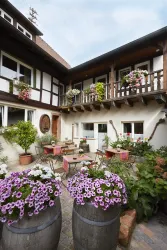 Ein einladender Innenhof mit bunten Blumen und Sitzgelegenheiten. Die dekorativen Pflanzgefäße und das traditionelle Gebäude schaffen eine gemütliche Atmosphäre.