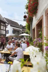 Ein schnuckeliges Restaurant im Freien mit vielen Tischen und Gästen. Blumen schmücken die Wände und es herrscht eine gemütliche Atmosphäre.