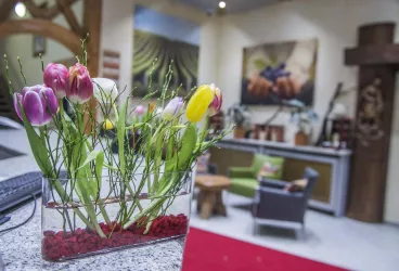 Hotel Central Frankenthal POIs_39