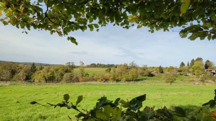 Ausblick aus dem Garten