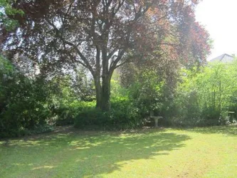 Wäldchen - Garten (© Sand-Stockmann)