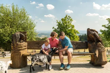 Wildpark Potzberg im Pfälzer Bergland
