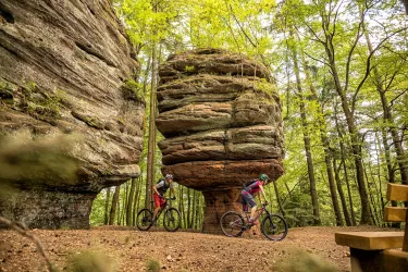 Mountainbiken im Pfälzerwald (1)
