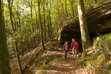 Wanderung auf dem Rodalber Felsenwanderweg