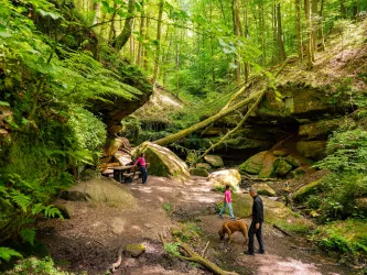 Wanderung mit Kids in der Hexenklamm bei Pirmasens