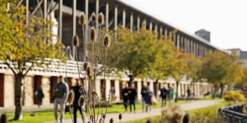 Einherbliches Bild mit einer Gruppen von Menschen, die an einer gepflasterten Straße spazieren gehen. Im Vordergrund sind Pflanzen und Bäume sichtbar, während im Hintergrund Gebäude stehen.