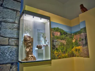 Ausstellung Glasvitrine