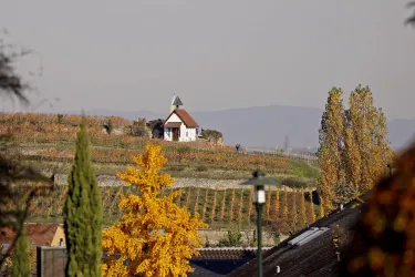 Blick auf Michaelskapelle (© Stadt Bad Dürkheim)