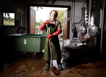 Nach der Weinlese im Keller