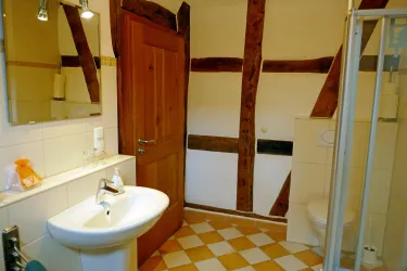 Ein Badezimmer mit Holzverkleidung und einer Dusche. Es gibt ein Waschbecken, eine Toilette und einen Spiegel.