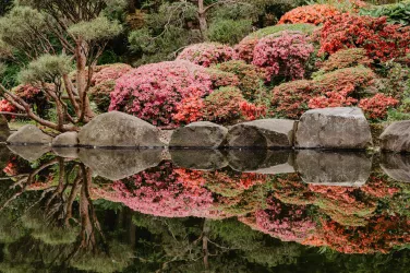 Japanischer Garten - (© Thomas Linkel)