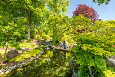 Japanischer Garten. (© Dominik Ketz)
