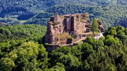 Eine beeindruckende Burgruine auf einem grünen Hügel, umgeben von dichten Wäldern. Die Ruine zeigt Überreste von alten Mauern und Türmen.