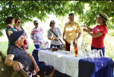 Kultur- und Weinbotschafter Pfalz e.V. (© Pfalz.Touristik e.V.)