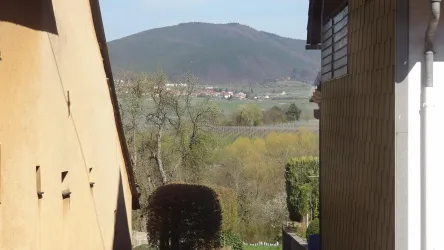 Aussicht Esszimmer