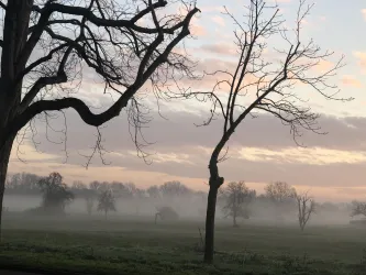 Morgennebel über den Schafwiesen